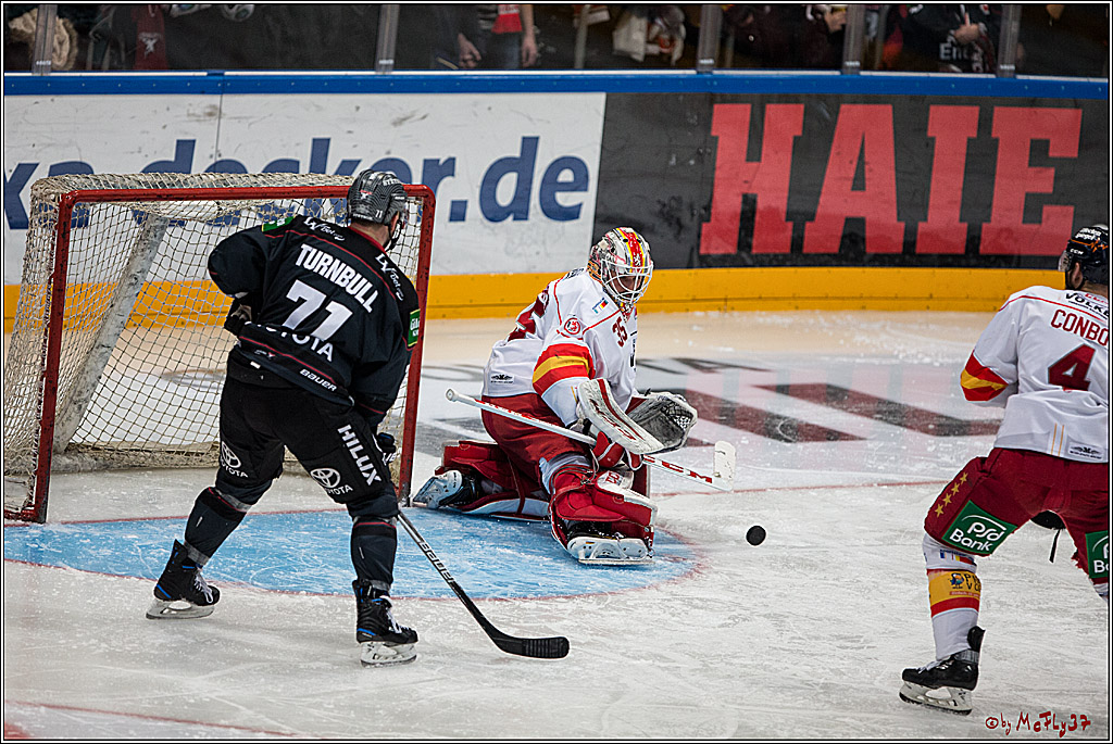DEL, Koelner Haie - Duesseldorfer EG, 14.02.2017